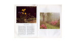 exbury mgardens 1